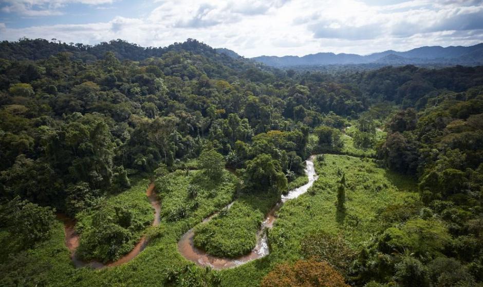 探险队在洪都拉斯雨林中发现拥有神秘文化并尚未被人类踏足的遗失之城
