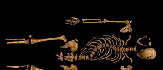 DNA比对验明理查三世国王骨骸，揭开500多年历史谜团