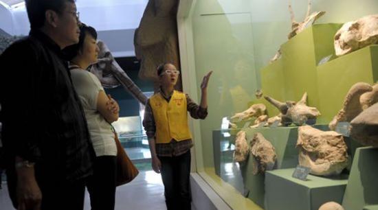 甘肃省博物馆志愿者在甘肃省博物馆古生物陈列馆为观众讲解。