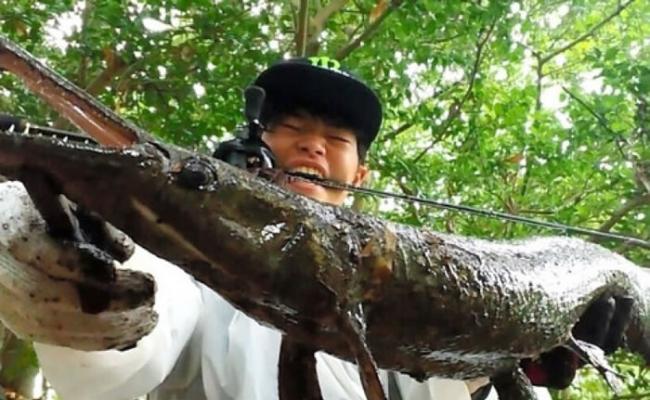 松田仁打算把该条福鳄制成标本保存。