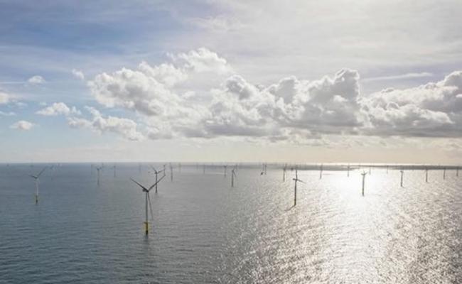 荷兰将建全球最大离岸风力发电站。