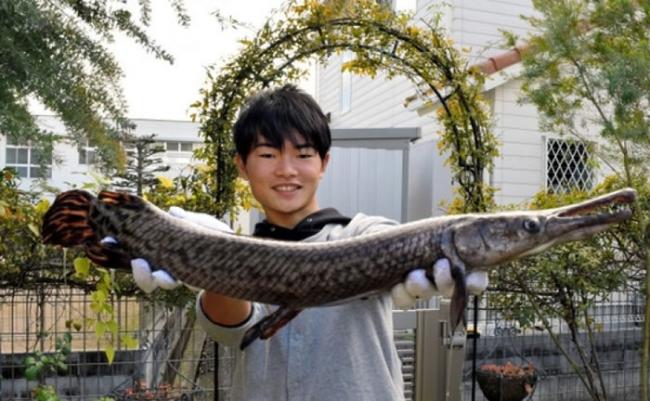 松田仁早前钓起该条巨大的福鳄。