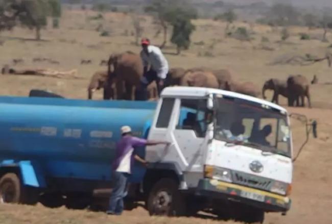 不忍动物渴死 肯尼亚农夫自掏腰包租运水车帮助动物止渴