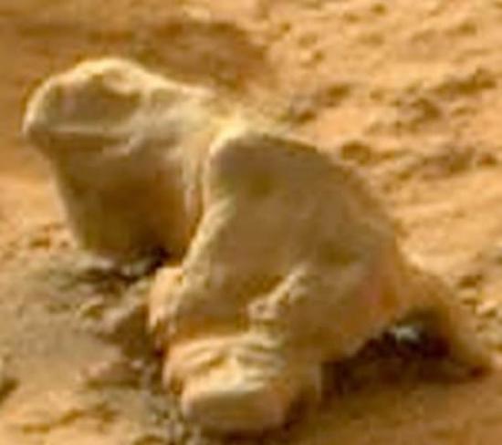 2013年11月，超常现象研究员声称在火星表面发现了所谓的鬣蜥化石。这个神秘物体是由”UFO每日目击”网站老板斯特科-瓦林发现的。