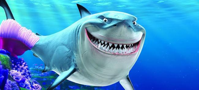 这头柠檬鲨咧嘴憨笑的画面。让人想起了动画电影《海底总动员》里的鲨鱼布鲁斯。