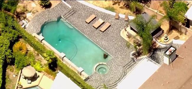 美国洛杉矶郊区野生黑熊闯入豪宅在泳池泡水消暑