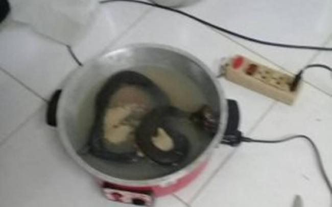 泰国曼谷男子打死眼镜蛇后整条煮了当下酒菜 但才吃一口就中毒