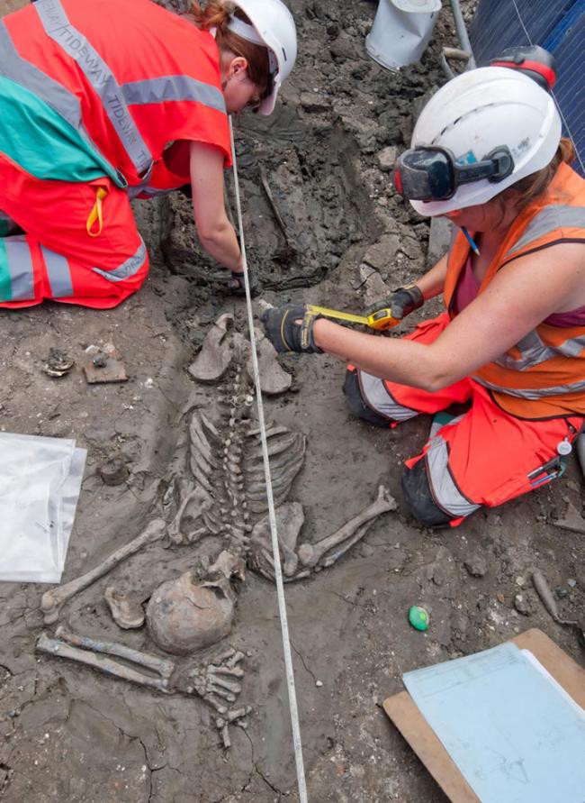 伦敦的考古学家正在研究一名30多岁的成年男性骨骸，他已经在地下静静躺了超过500年。 COURTESY OF MOLA HEADLAND INFRASTRUCT