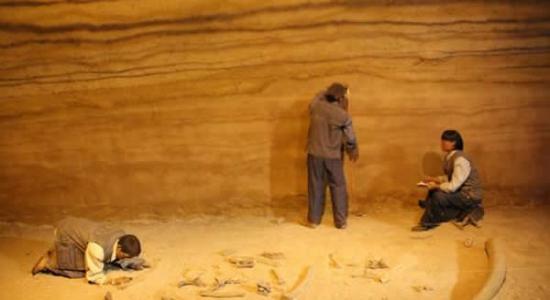 泥河湾博物馆内挖掘现场雕塑。据工作人员介绍，其中跪地挖掘的是河北省文物局副局长谢飞。