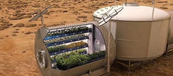 科学家研制一种最新水栽培育系统，未来可以在火星或者月球上种植蔬菜和水果，有效保证宇航员的食物来源。