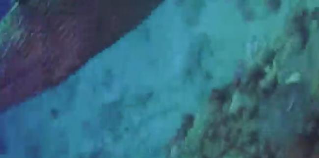 南非索德瓦纳湾波兰年轻人下潜观察珊瑚礁时被两只海鳝发怒袭击