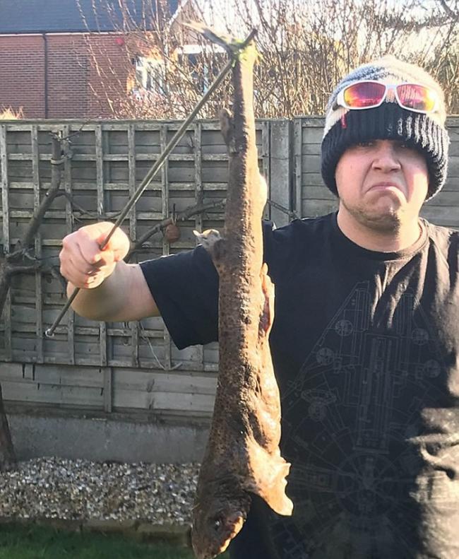 英国肯特郡男子在自家花园发现一只狗鲨