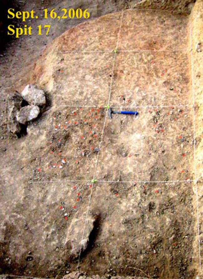 图3 黑土沟遗址第17发掘层(上图)和第23发掘层(下图)(卫奇供图)