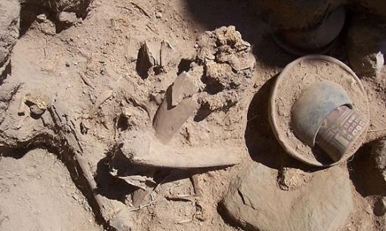 考古学家在秘鲁出土百多具残缺不全的木乃伊，估计他们生前被用作祭品。