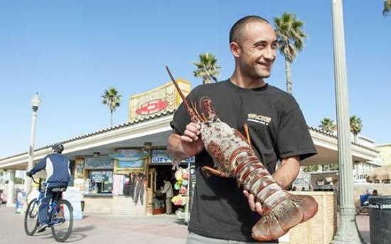 美国加州捕捉到一只16斤重大龙虾