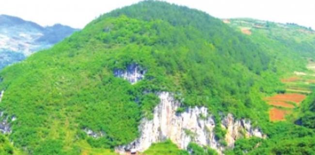开阳“打儿窝”古人类文化遗址入选贵州第六批省级文物保护单位