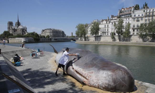 法国巴黎塞纳河畔出现伤痕累累的搁浅抹香鲸 原来是环保人士设置的雕塑