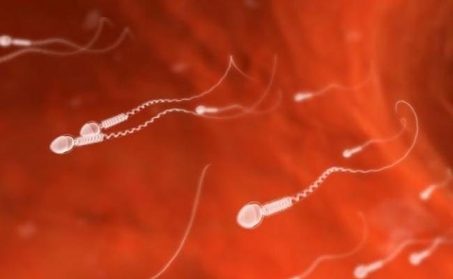 科学家表示已经成功利用皮肤细胞制造出精子