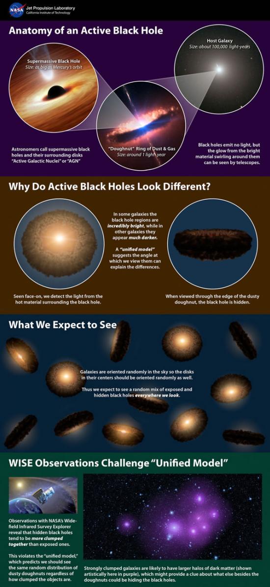 这张信息图标解释了有关活跃超大质量黑洞的流行理论――统一模型，而WISE 最新的数据与这一模型相冲突。
