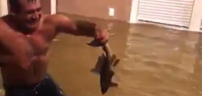 美国德州受到飓风哈维侵袭 休斯敦男子家中捉大鱼