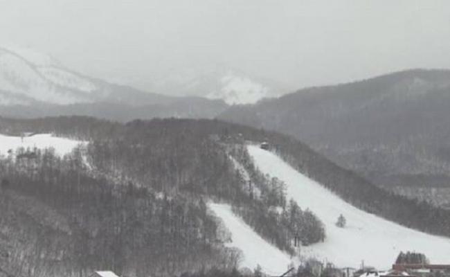 草津国际滑雪场出现雪崩。
