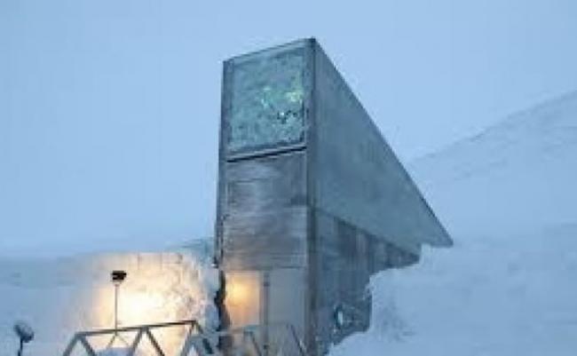“末日图书馆”位于北极群岛斯瓦巴的冰天雪地。