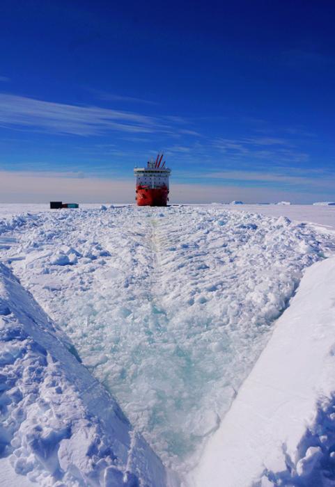 中国雪龙号科考船在南极卸货引企鹅围观