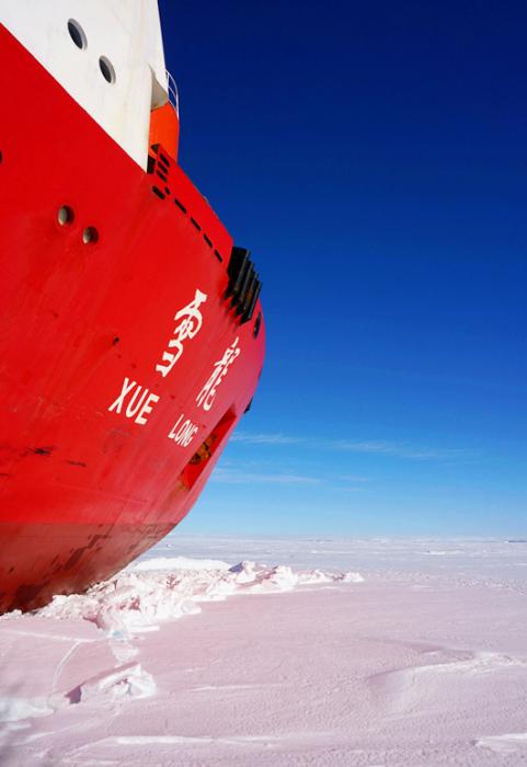 中国雪龙号科考船在南极卸货引企鹅围观
