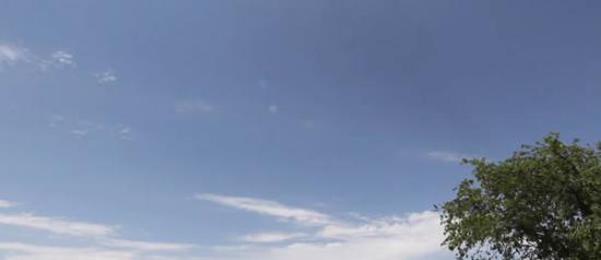猎鹰9R的广角视图显示了助推器起飞扰乱了周围的牛群