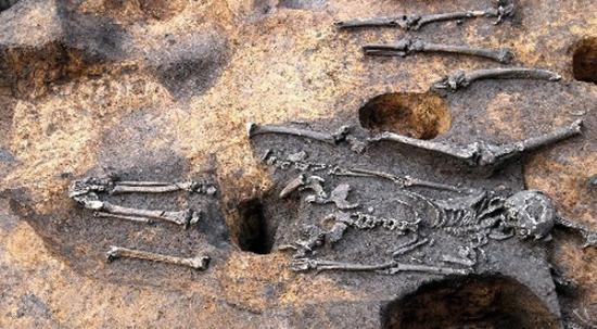 日本出土4000年前绳文时代人骨