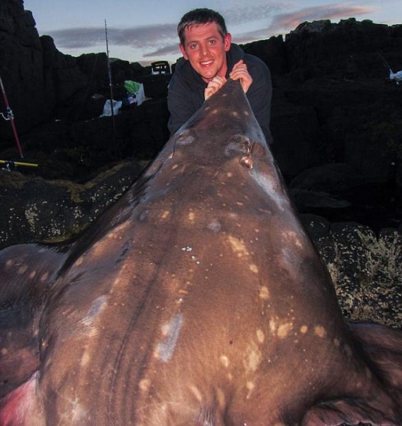 英国男子捕获史上最大鳐鱼