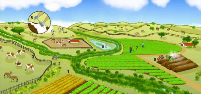 管理农田植被与农产品作物安全