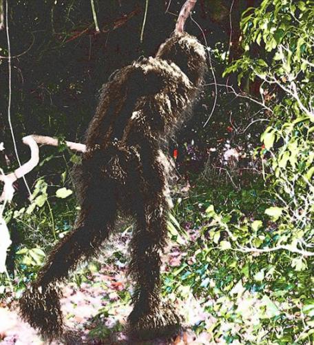 华盛顿州出现的大脚野人，2014年，密西西比州森林中出现一个不同于人类的大脚印，人们猜测这可能是大脚野人足迹；