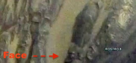 UFO目击网站（UFO Sightings Daily）：火星出现古埃及人脸岩石