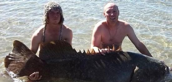 澳洲两渔夫钓获百公斤“巨无霸”石斑