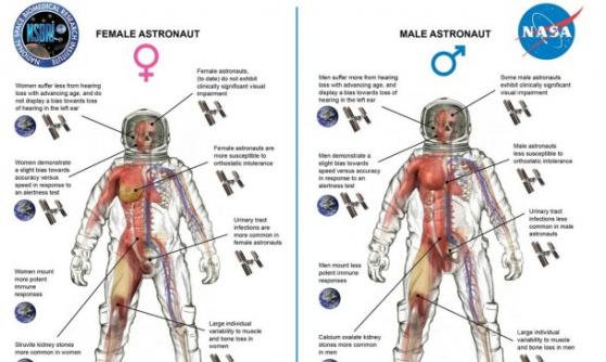 NASA公布男女太空人登上太空后的身体变化，发现男性较能适应。