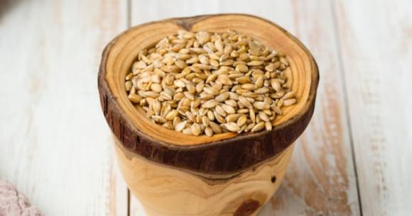 这是一碗单粒小麦，约1 万年前在安纳托利亚种植的便是这类谷物。（Mandy Reschke/Corbis）