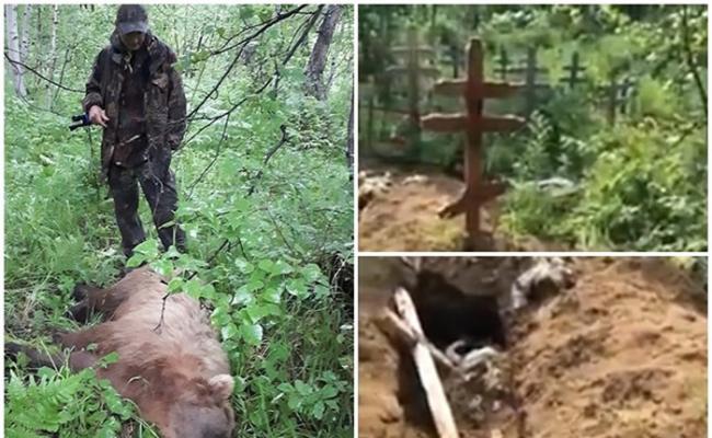 俄罗斯堪察加半岛棕熊闯墓园觅食 20具尸首恐被吃掉