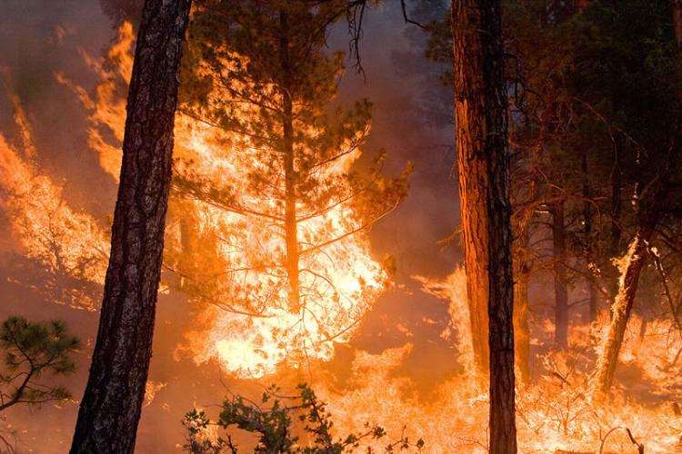 气候变化与野火的频率和严重程度之间的一种联系