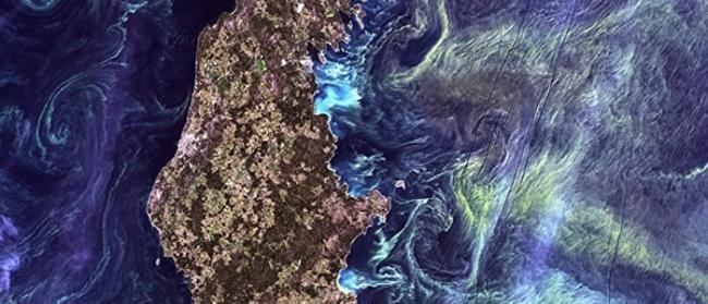Biogeoscience期刊：科学家预言波罗的海将遭遇生态灾难