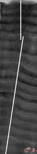 将滨珊瑚样本沿中心切成8毫米的珊瑚薄片后，用X光照相，从X光照片上可以看到清晰的珊瑚年生长条纹（类似于树轮，14毫米/年）（照片提供人：中国科学技术大学刘羿博士