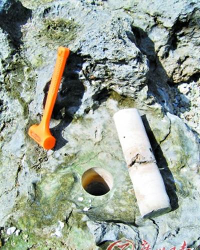 用专用钻机钻取的化石滨珊瑚岩芯。地点为三亚小东海，其生长年代为唐代。