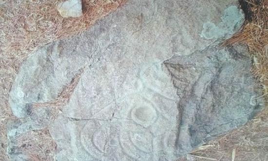 阜新蒙古族自治县大五家子镇石虎山上发现2500年前岩画石虎