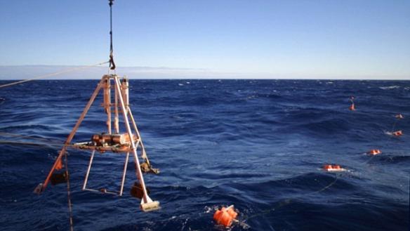 阿伯丁大学和夏威夷大学的科学家在马里亚纳海沟用105多个小时的视频记录下鱼类情况。他们用一个常用于深海冒险的机器拍摄了这些视频。它由阿伯丁大学制造，名为深渊登陆