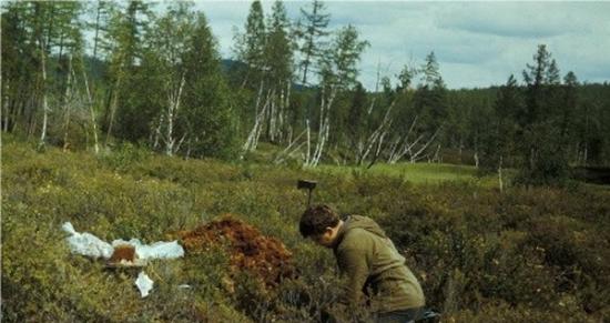 1988年，佐洛宾在通古斯事件发生地挖掘殒石碎片时的情景。