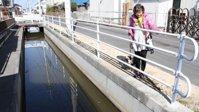 日本静冈田野市一只狗“忠太郎”散步时发现老翁坠水及时提醒主人施救