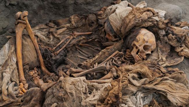 秘鲁发现一座新的埋有儿童和羊驼遗骸的前哥伦比亚奇穆文化大型墓葬