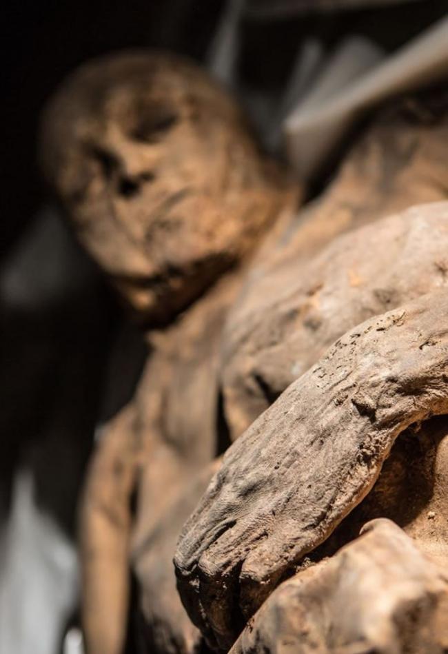 立陶宛教堂发现了几具自然风化的木乃伊，其中一具孩童木乃伊身上发现了已知最古老的天花病毒样本。 PHOTOGRAPH BY KIRIL CACHOVSKIJ, D