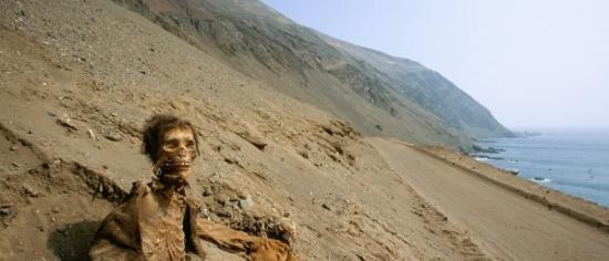 过往在智利发现新克罗文化的木乃伊
