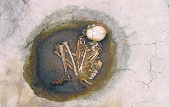 巫山发现新石器时代屈肢墓葬